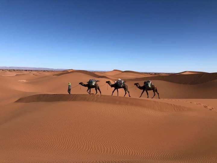 morocco desert sahara
