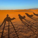 desert maroc