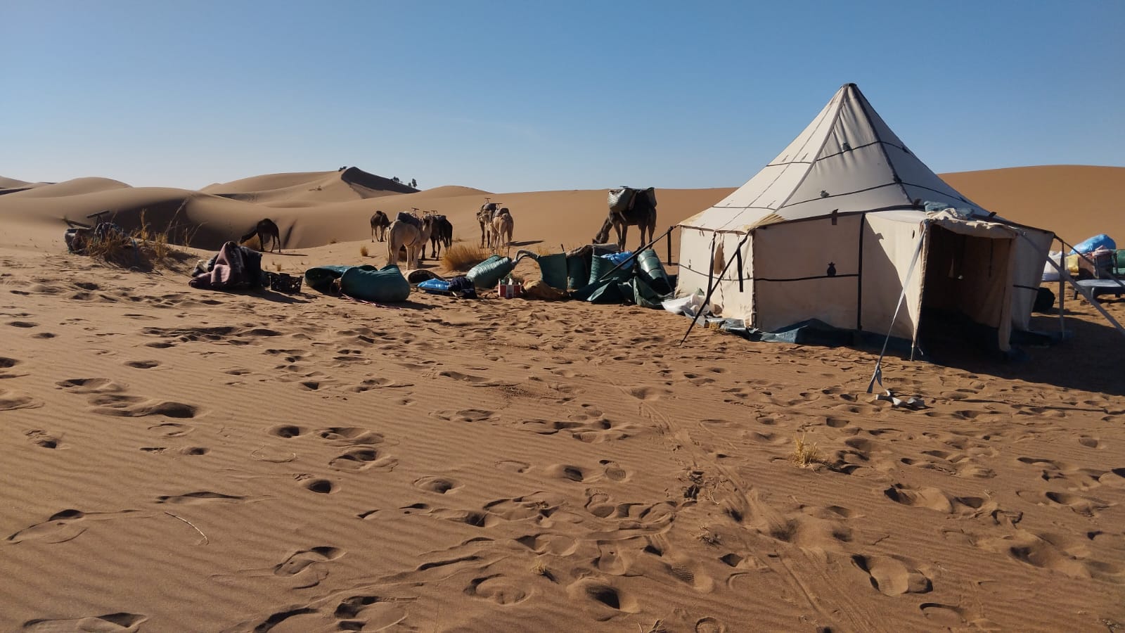 Trek in the Heart of the Dunes: From Marrakech or Agadir